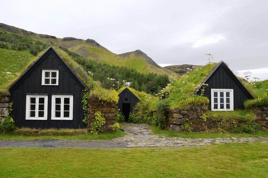 A home featuring a lush green roof with various plants.