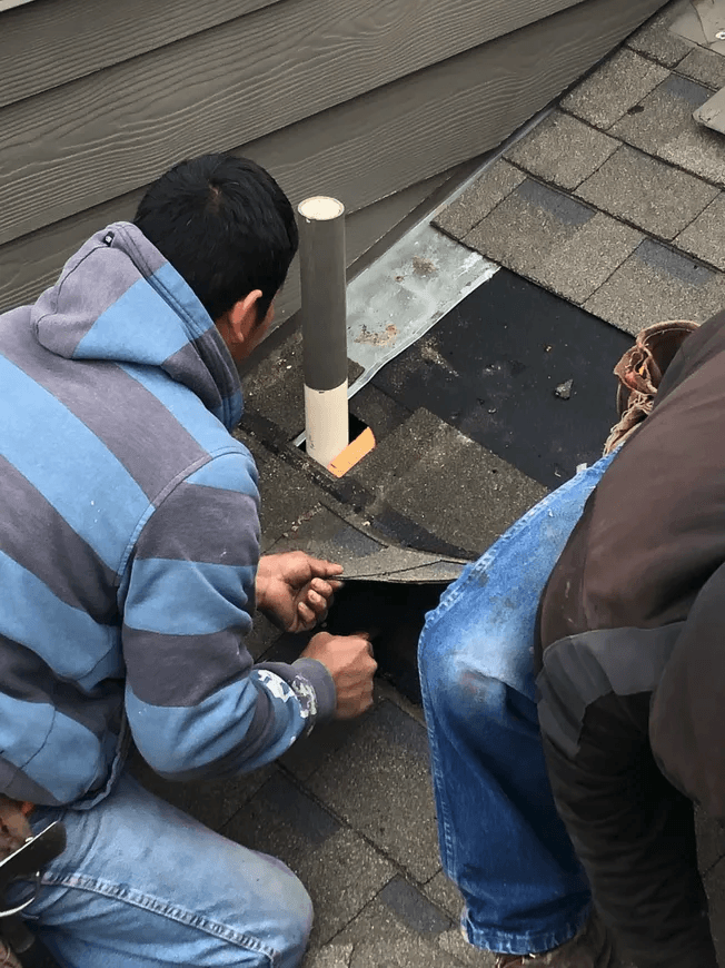 A team of roofing professionals installing a new shingle roof 