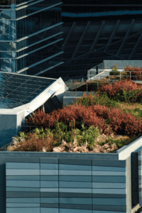 A vibrant green roof with plants and flowers on a residential home