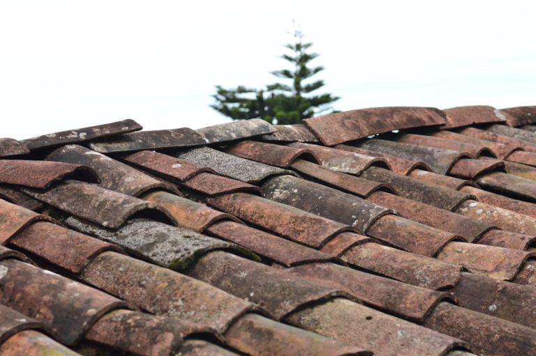 Why Regular Roof Inspections Matter And When to Schedule Yours